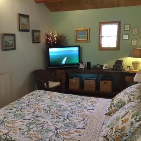 Les Iris Nalliers (Vendee)