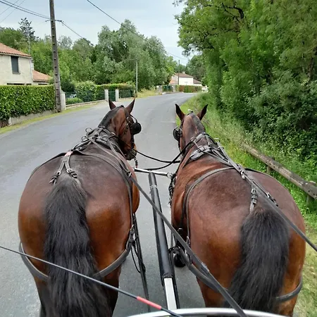 Apartmán Les Iris *