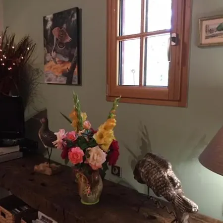 Apartmán Les Iris *