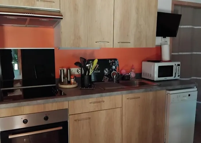 Les Iris * Nalliers (Vendee)