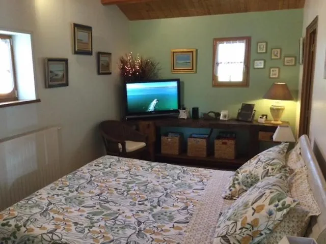 Les Iris Nalliers (Vendee)