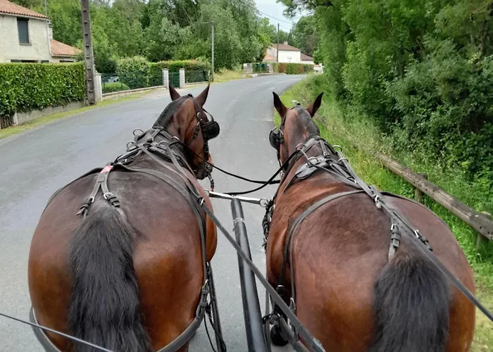 Apartamento Les Iris *