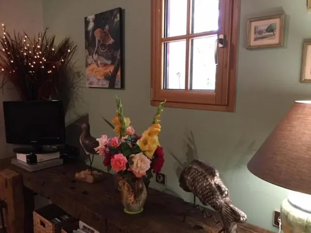 Apartamento Les Iris *